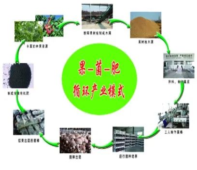 新闻农业图片高清_新闻农业图片素材_农业图片新闻/